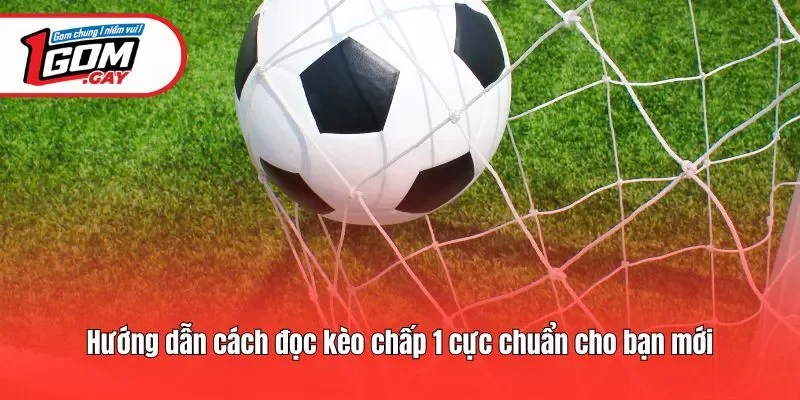 Hướng dẫn cách đọc kèo chấp 1 cực chuẩn cho bạn mới