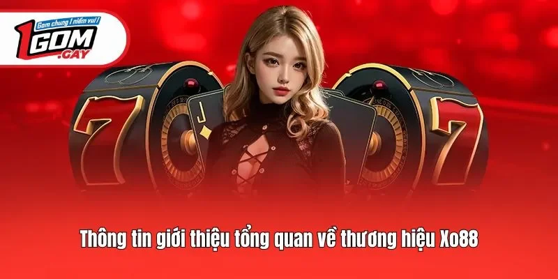 Thông tin giới thiệu tổng quan về thương hiệu Xo88